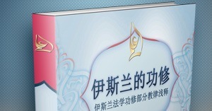 نموذج كتاب المنبر العالمي باللغة الصينية
